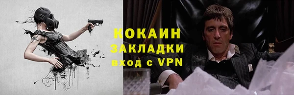 ПСИЛОЦИБИНОВЫЕ ГРИБЫ Абаза