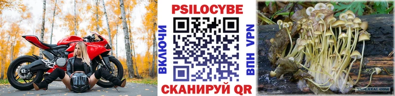 Псилоцибиновые грибы прущие грибы  Аксай 